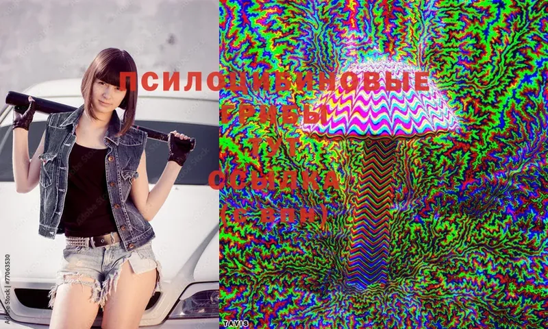 Псилоцибиновые грибы Magic Shrooms  Покровск 